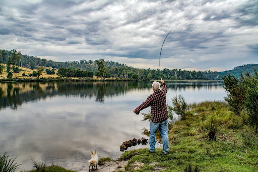 The Art of Fly Fishing: Tips for Beginners